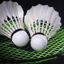 Set 2 quả cầu lông đánh vợt