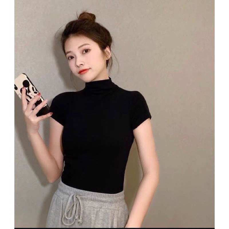 Áo croptop ngắn tay cổ lọ ấm một chút thôi ln113