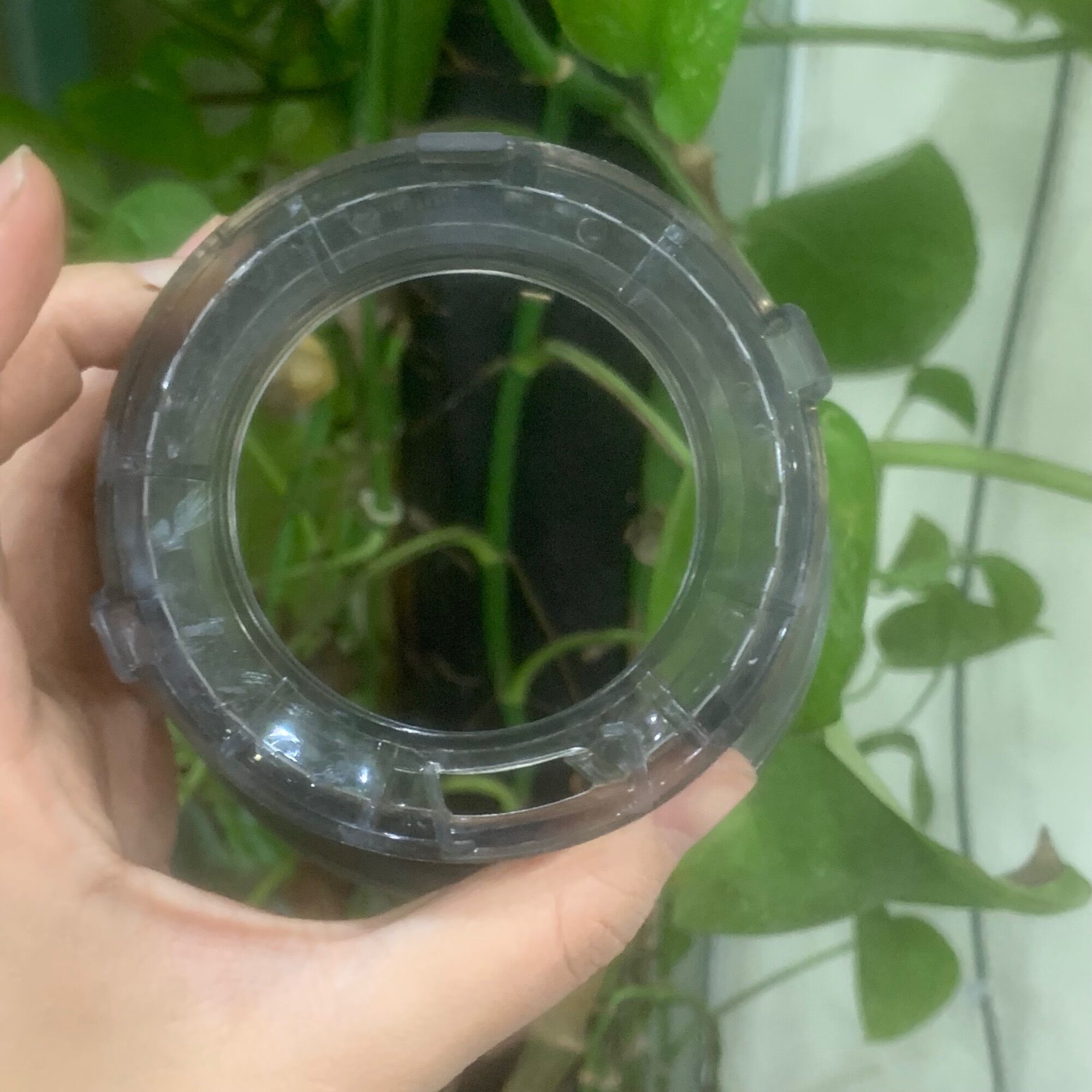 Lưới lọc máy ép chậm sunhouse shd5505