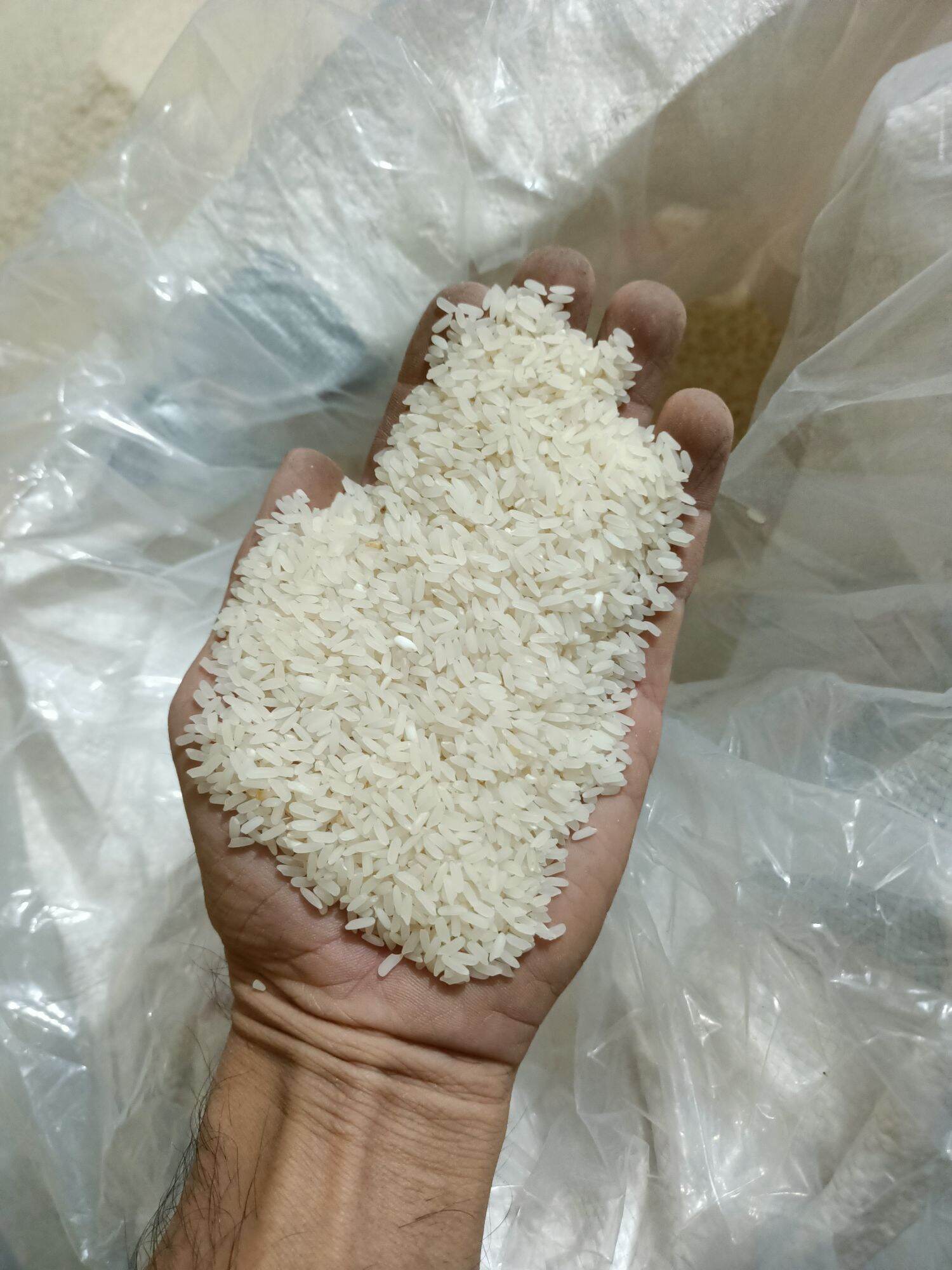 gạo tám xoan ( chuẩn gạo tám quê)