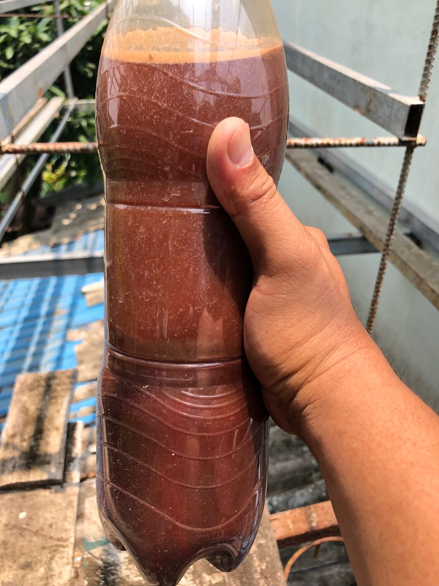 330 ml Vi sinh psp làm trong nước hồ cá , khử mùi tanh , phân huỷ xác hữu cơ