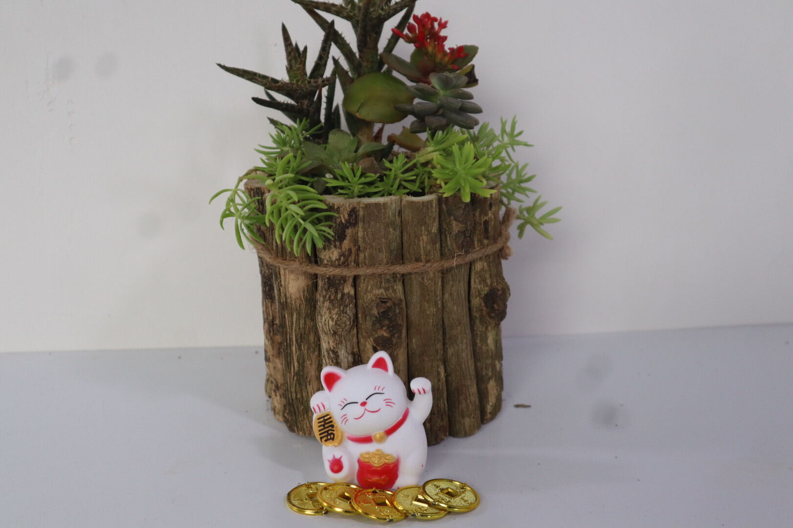 chậu ghép cành cây trồng sen đá