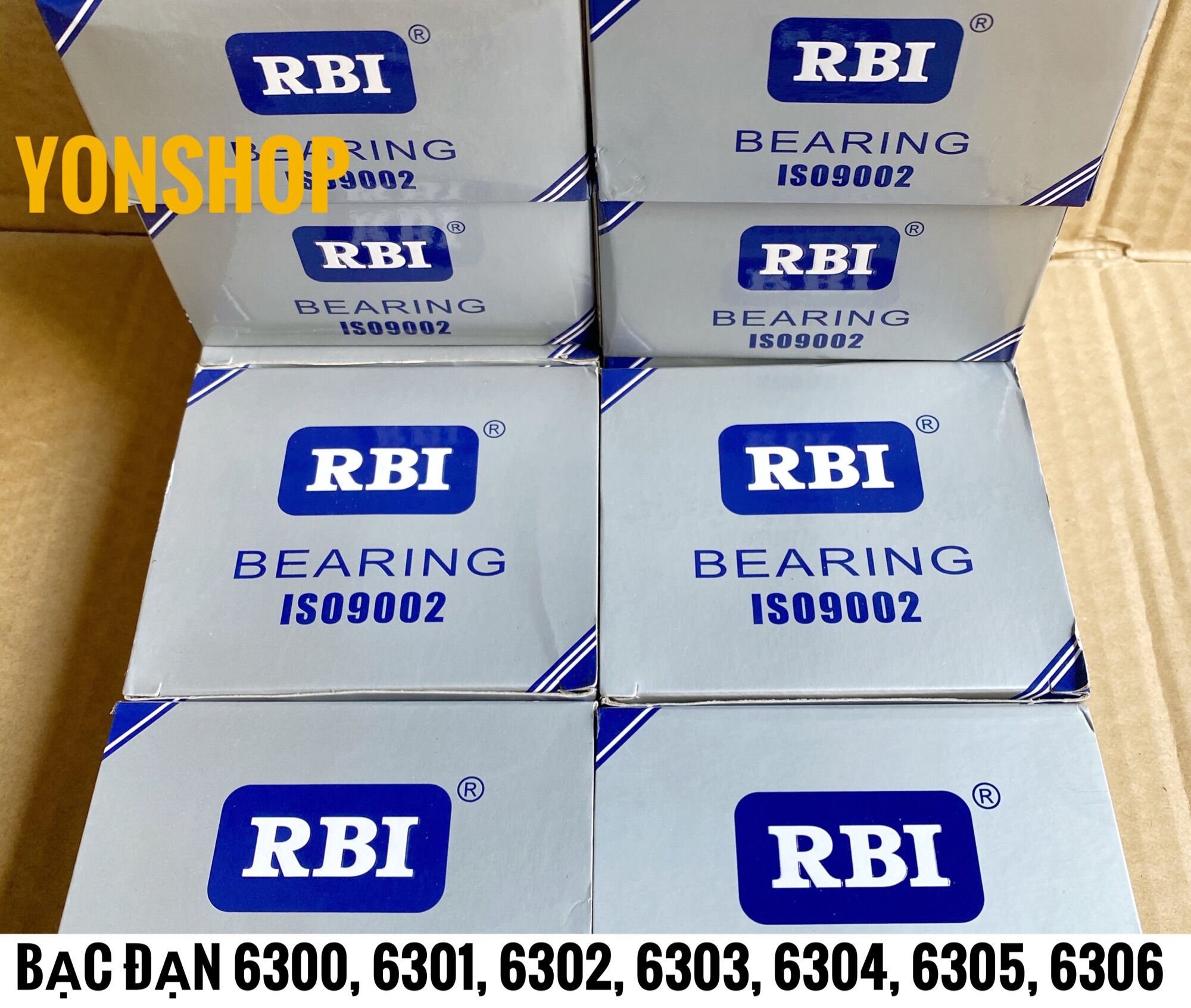 Bạc đạn 6300, 6301, 6302, 6303, 6304, 6305, 6306 nắp nhựa hiệu rbi