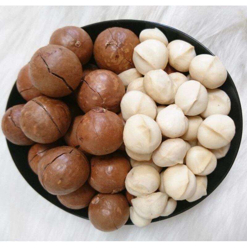 Hũ 500g macca đaklak nứt vỏ tự nhiên