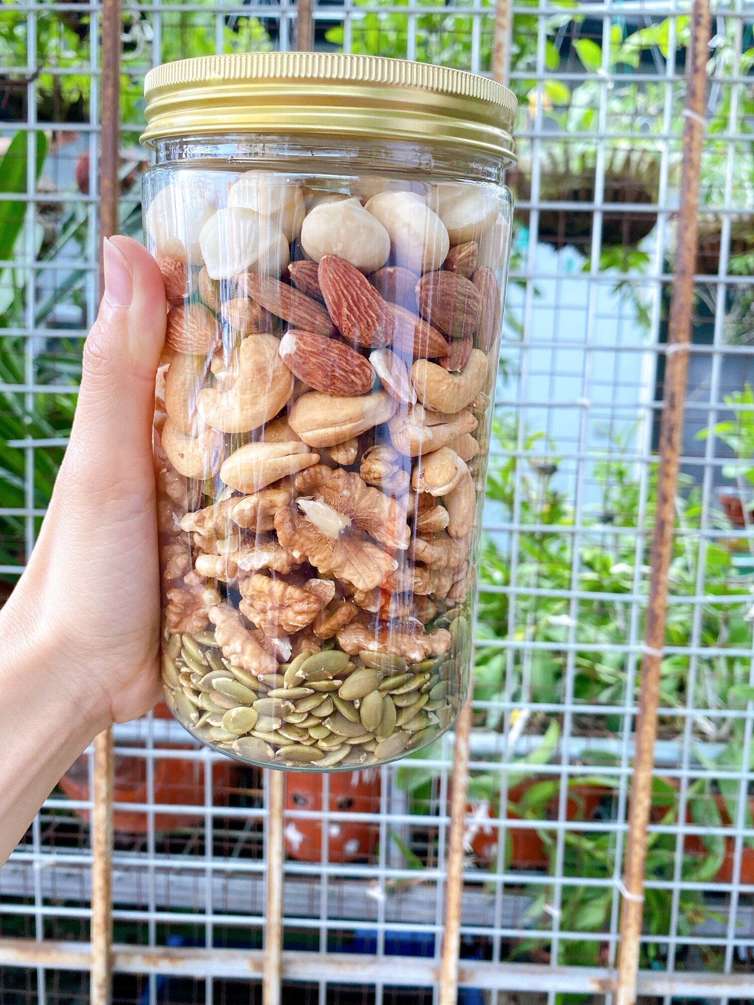 Hạt Mix cao cấp 5 loại hạt