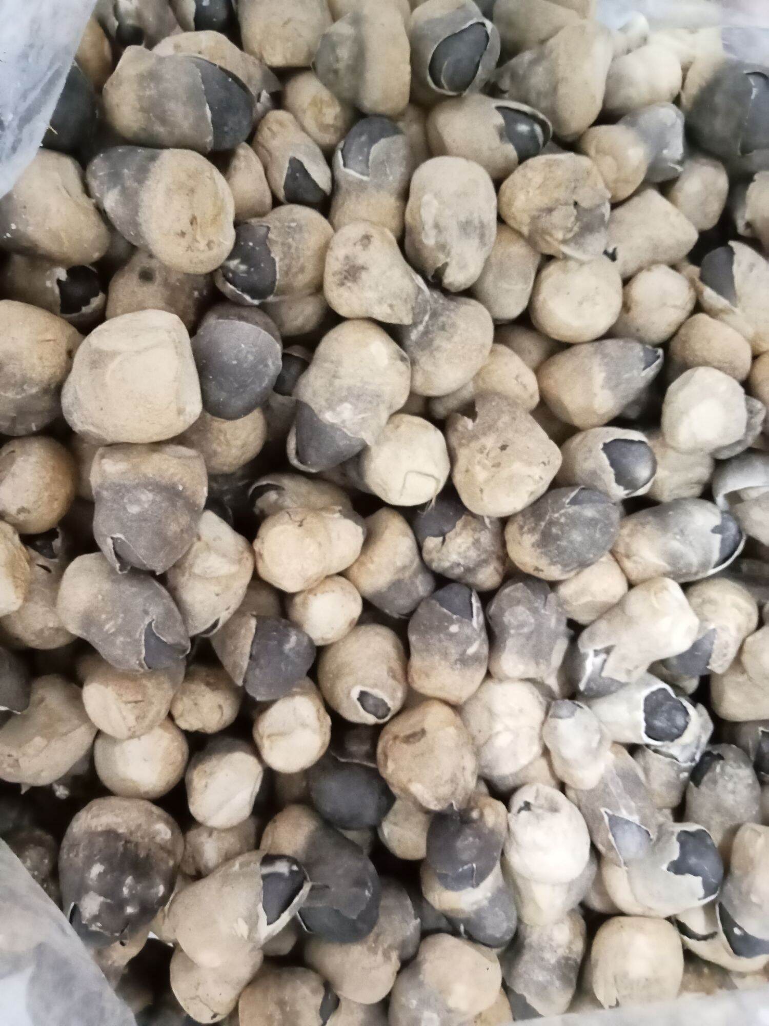 Nấm rơm mecco sấy thăng hoa 250g