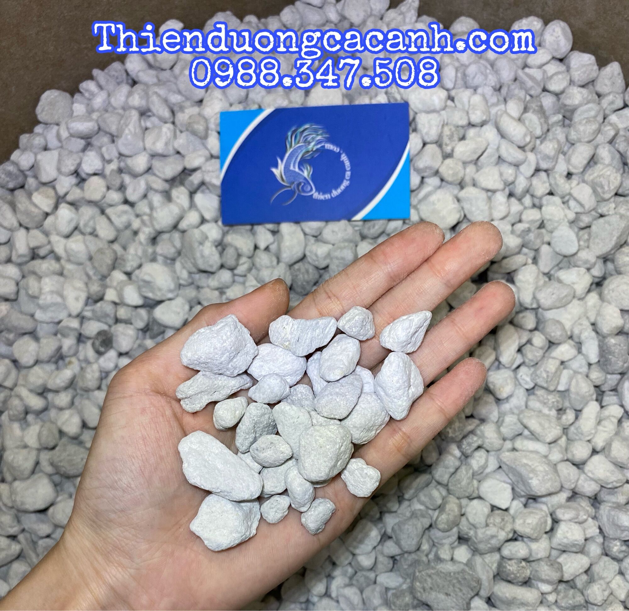 Seachem matrix 1 lít / 700g | chiết từ thùng 100lít - vật liệu lọc cao cấp cho bể cá