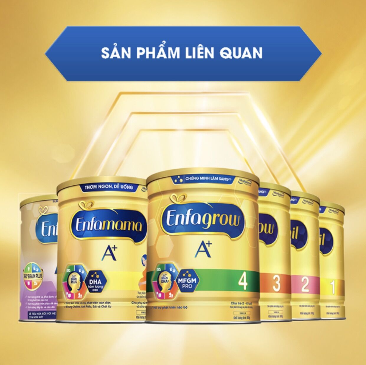 [HCM]Sữa Enfamil A+ 1 ( 0-6 tháng )