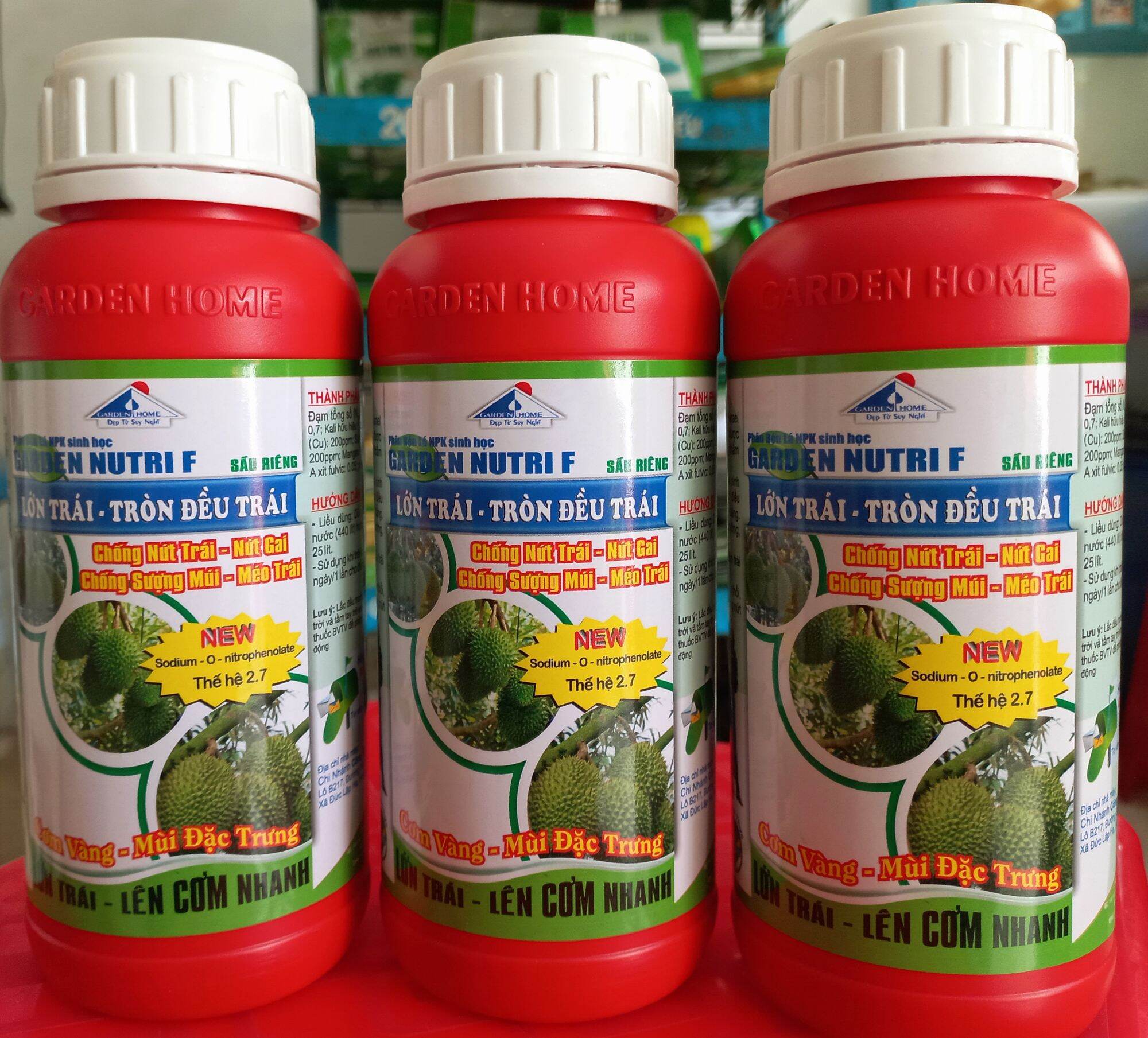 Lớn trái - tròn đều trái sầu riêng chai 500ml
