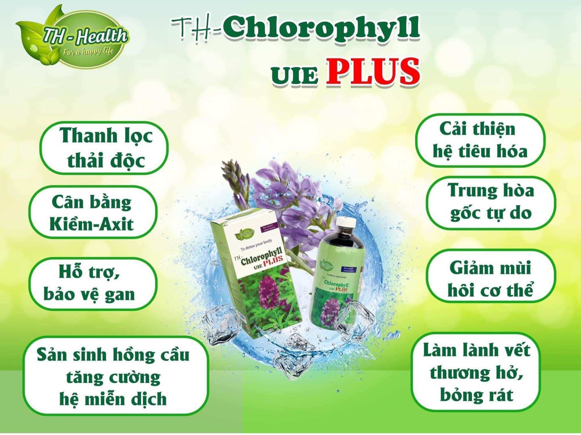 🌳🌳🌳Diệp lục TH Health - Cho mùa hè thanh mát