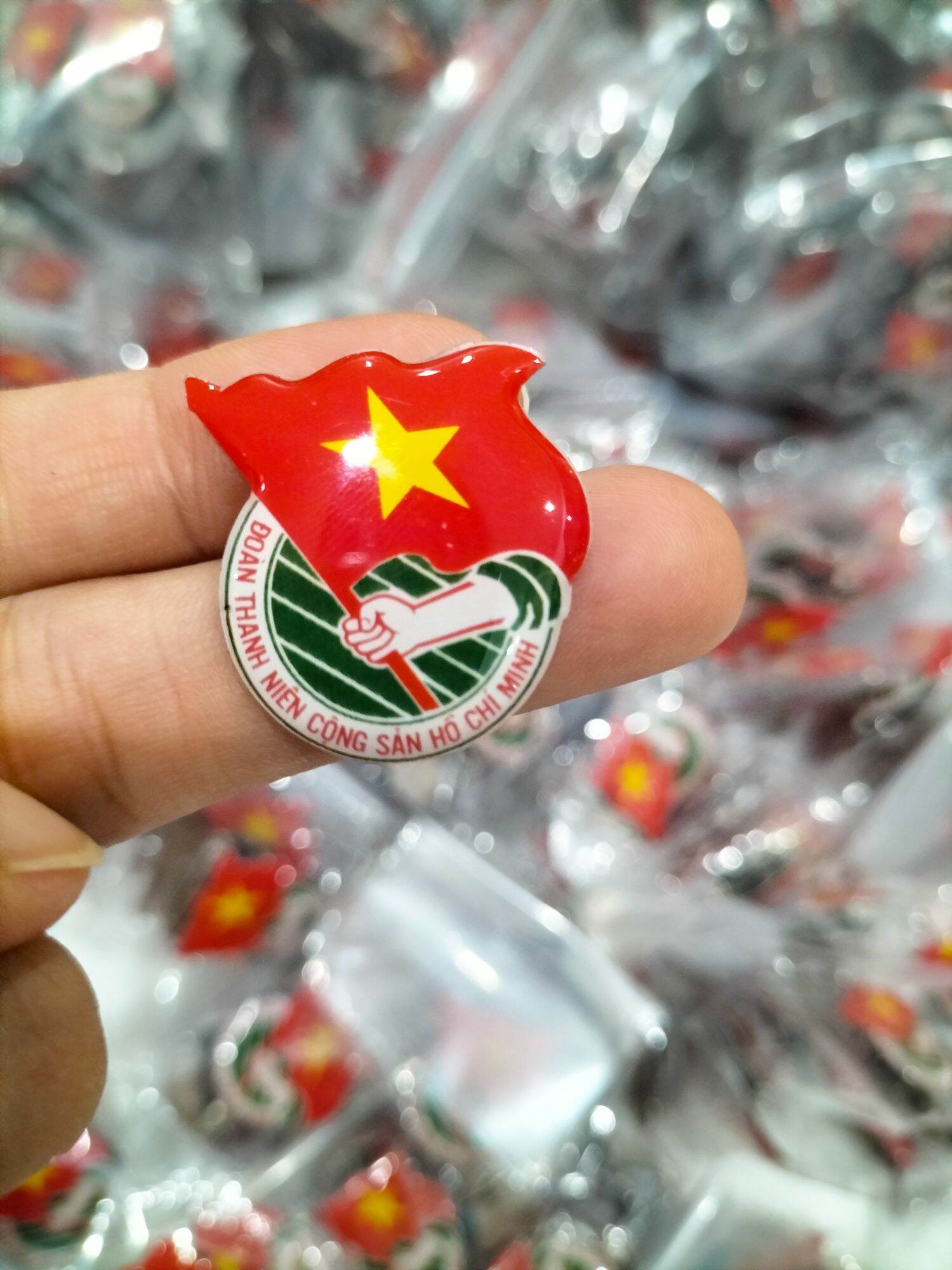 Huy hiệu đoàn ( 10 chiếc)