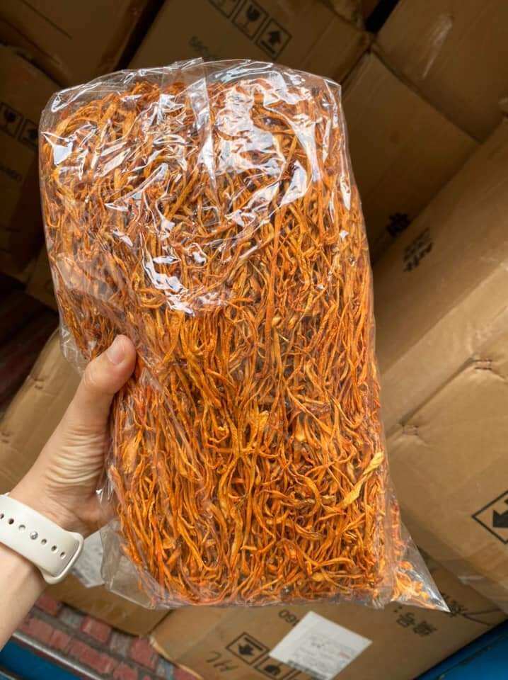Aromatic Dried Horizontally Sliced Cordyceps 1kg