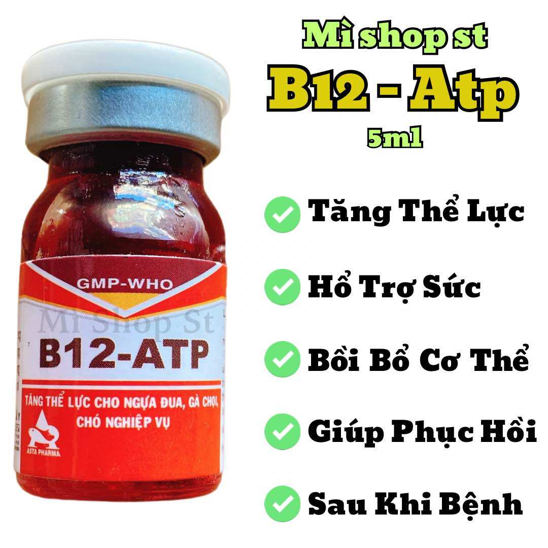 B12 atp tăng thể lực gà đá