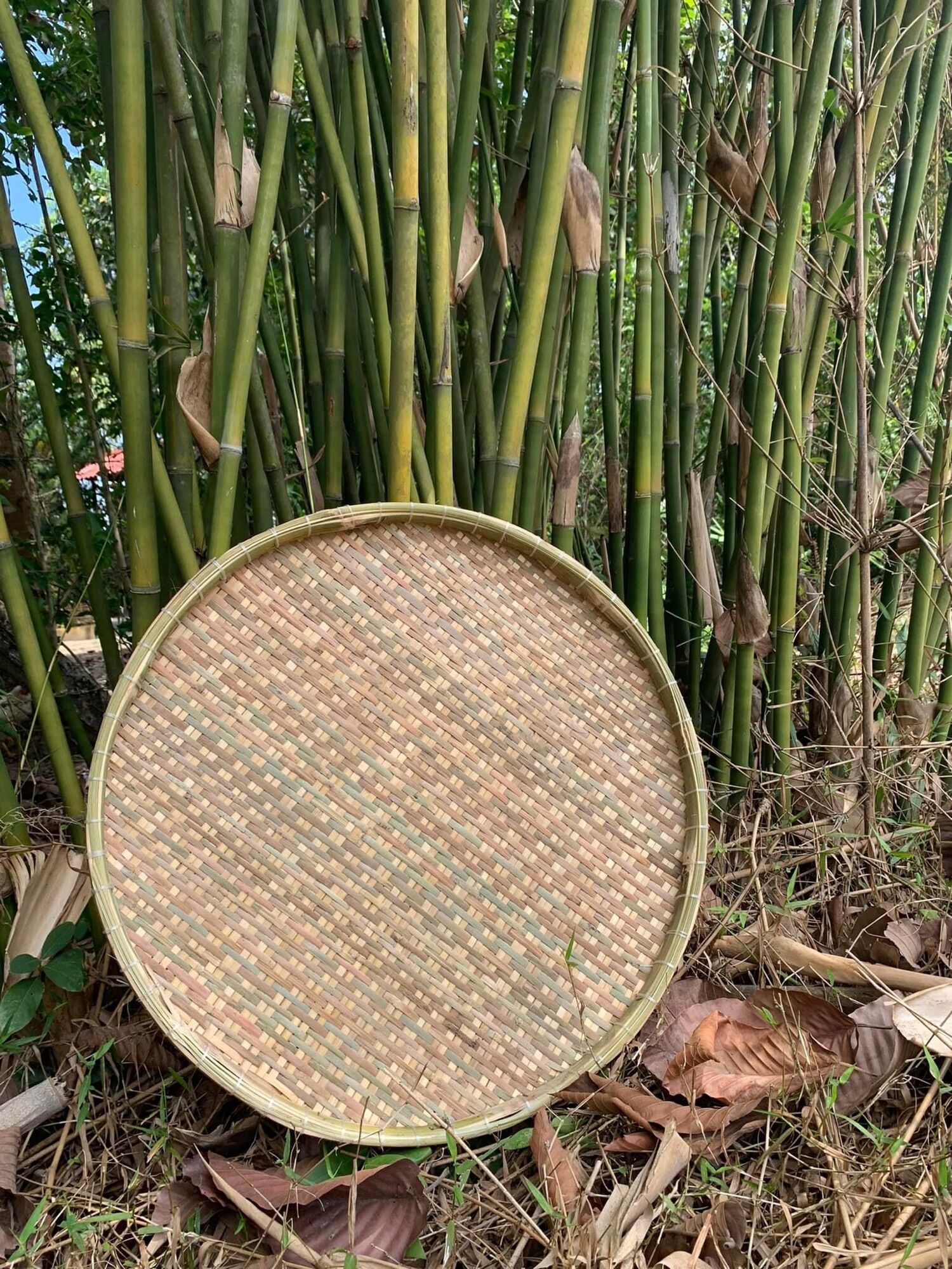 Nia cật tre 60cm