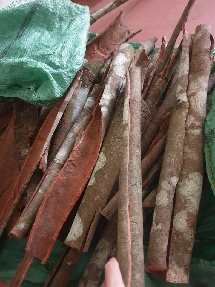 [ Shop Mới ] Quế Nhục - Vỏ Quế - Bột quế khô loại 1, thơm, sạch, mới ( 500g )