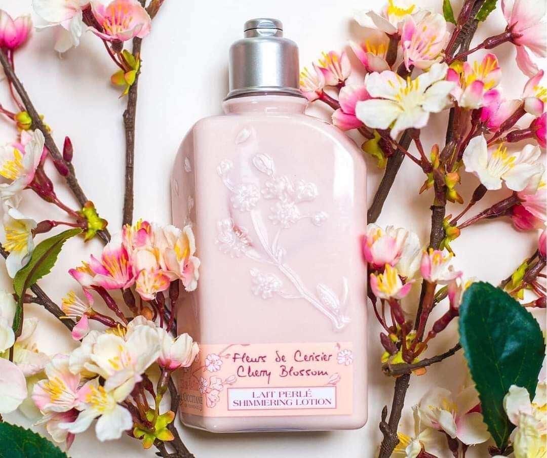 Sữa dưỡng thể hoa anh đào L'occitane Cherry Blossom Body Lotion