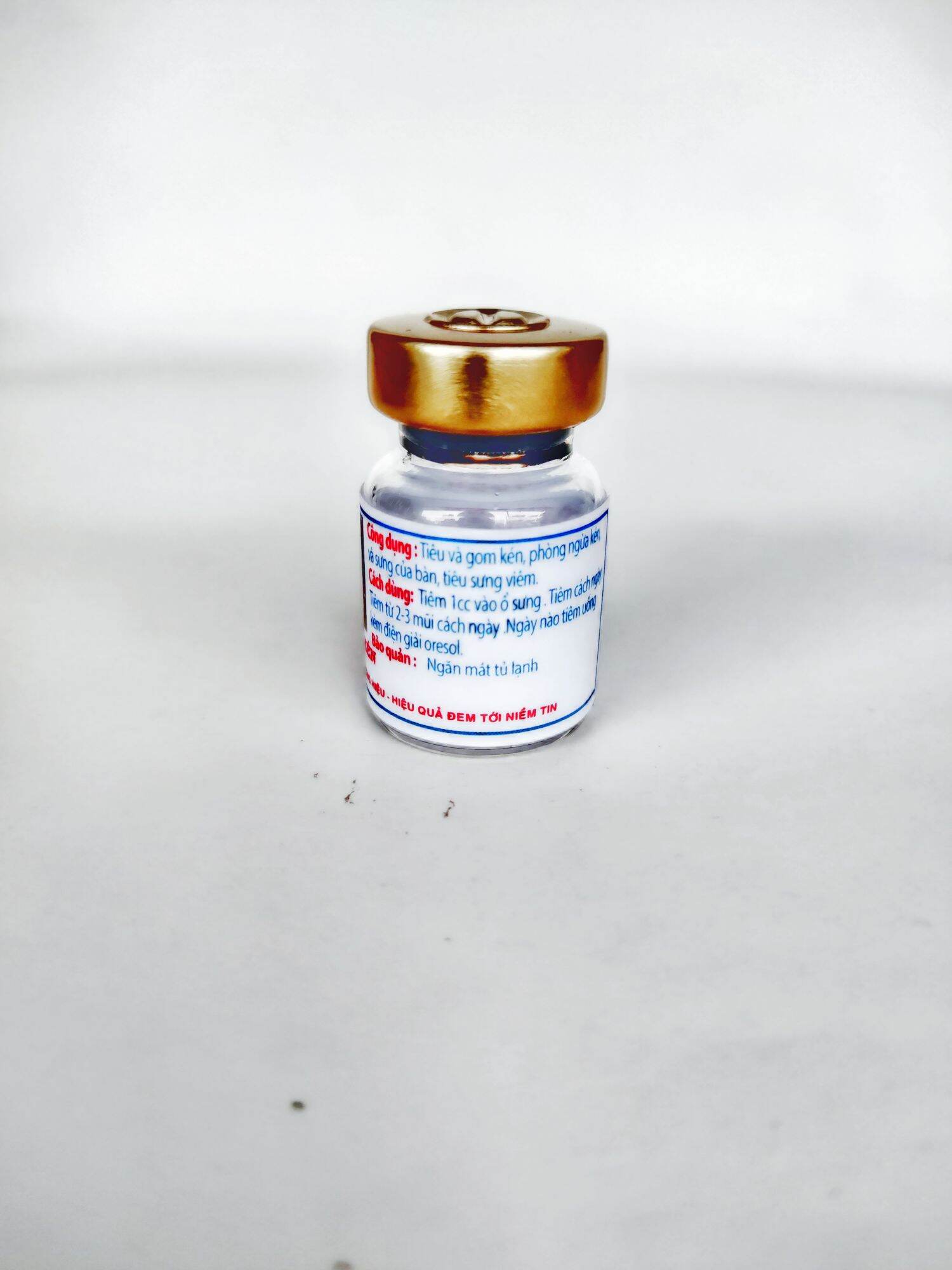 Tiêu kén Tô Thanh cho gà chọi