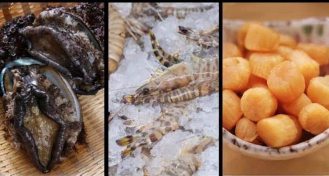 Mì Sò điệp khô HK ( Hộp 10 gói)