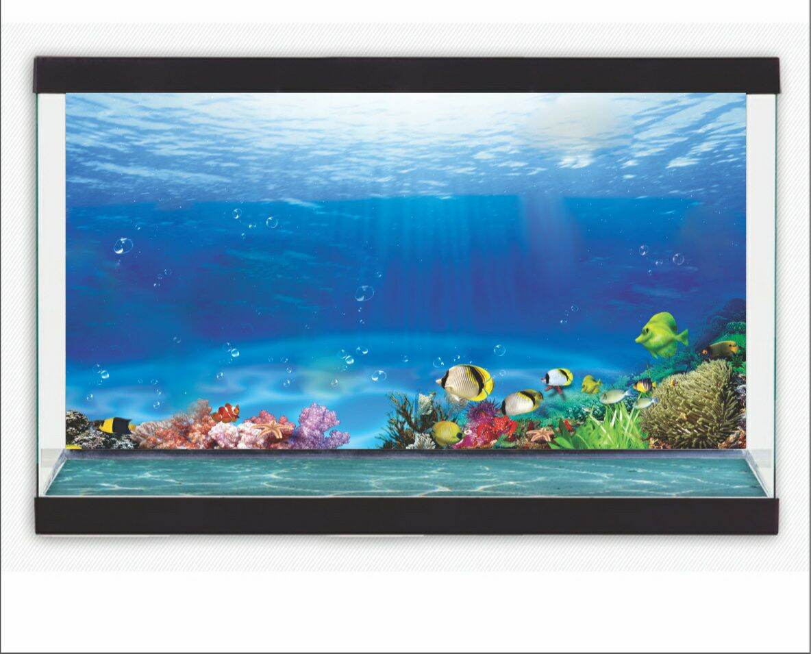 tranh 3d dán hồ cá DECAL VIP- IN THEO KÍCH THƯỚC HỒ ( tranh lưng )