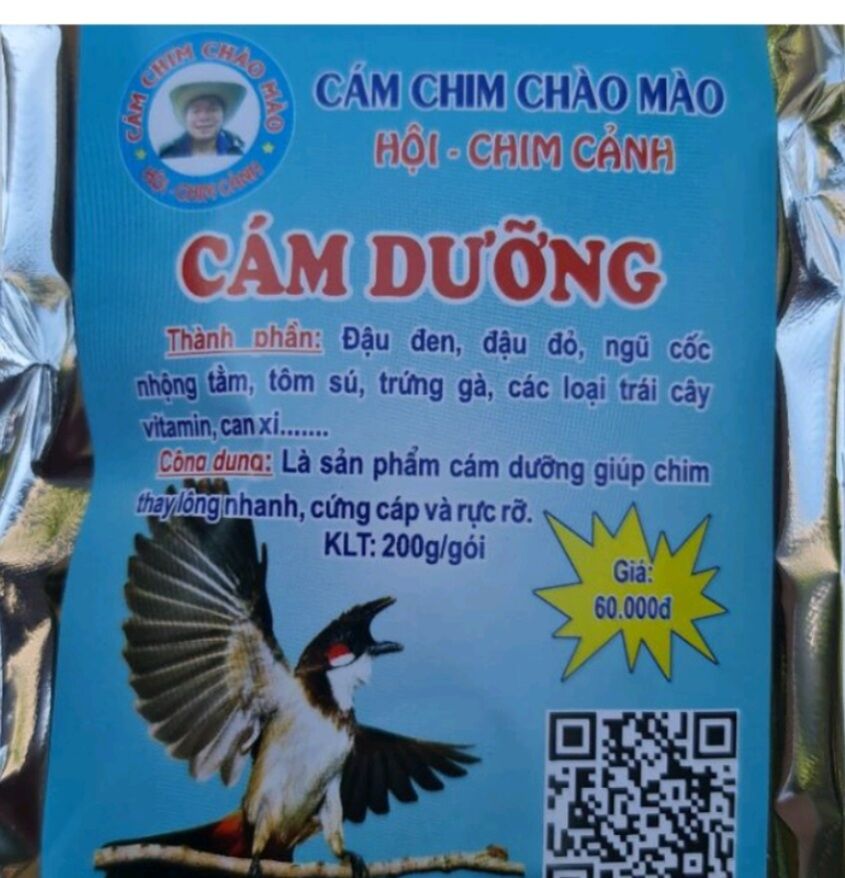 Cám chim chào mào dưỡng