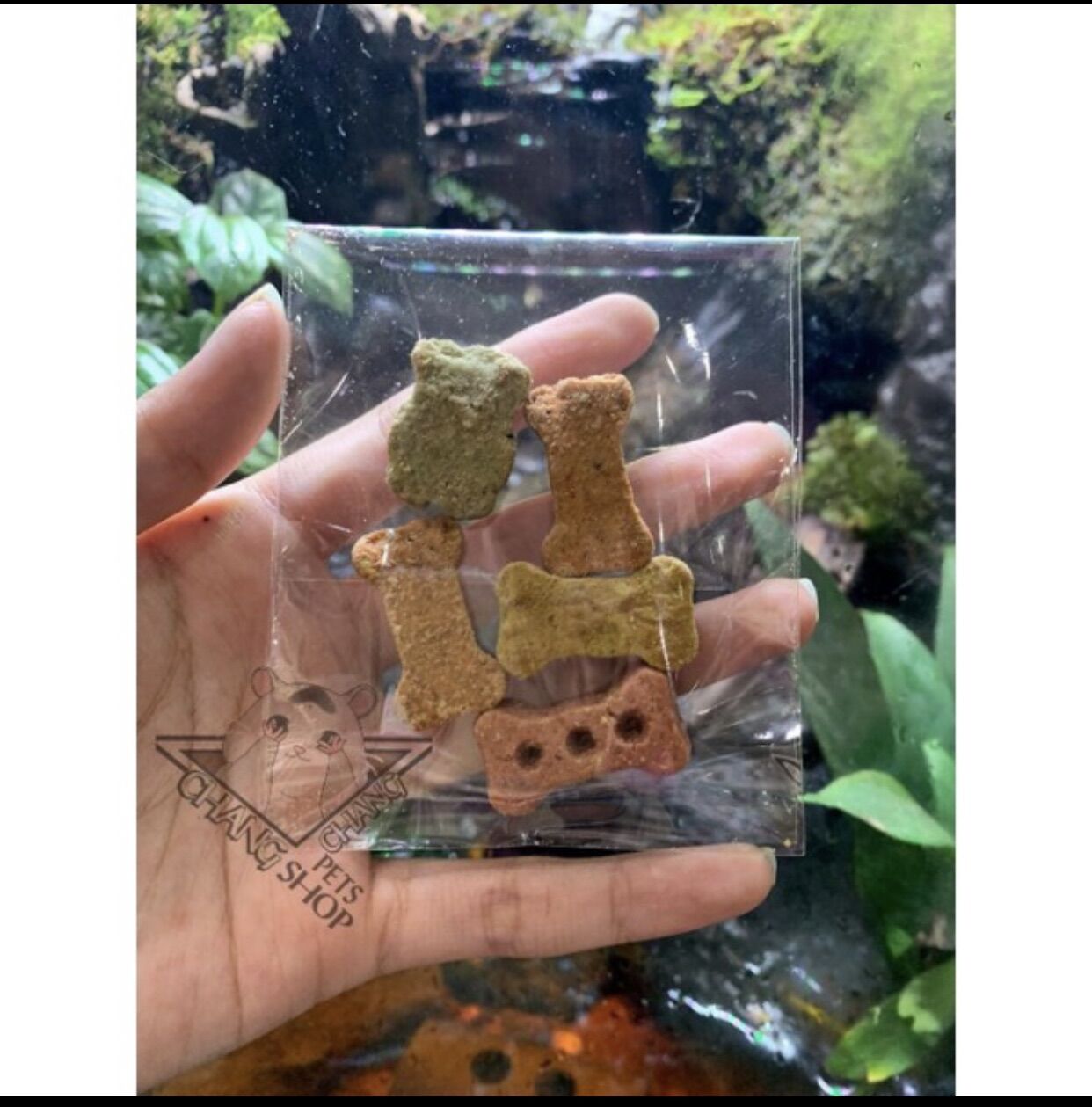 [bịch5k] Viên mài răng vị thịt dành cho hamster