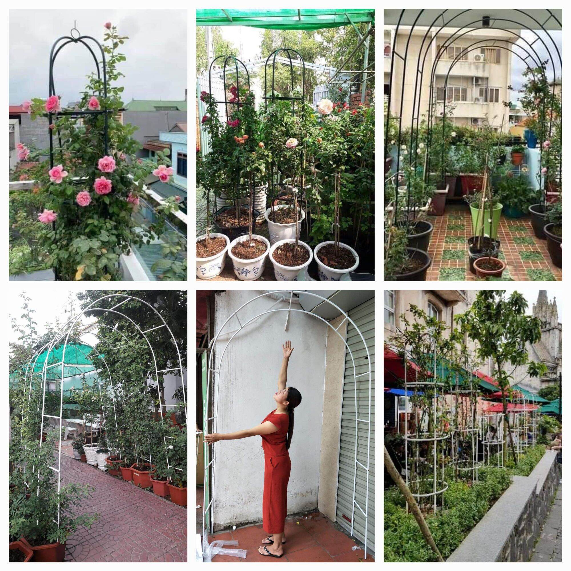 Khung Vòm Hoa leo cây cảnh