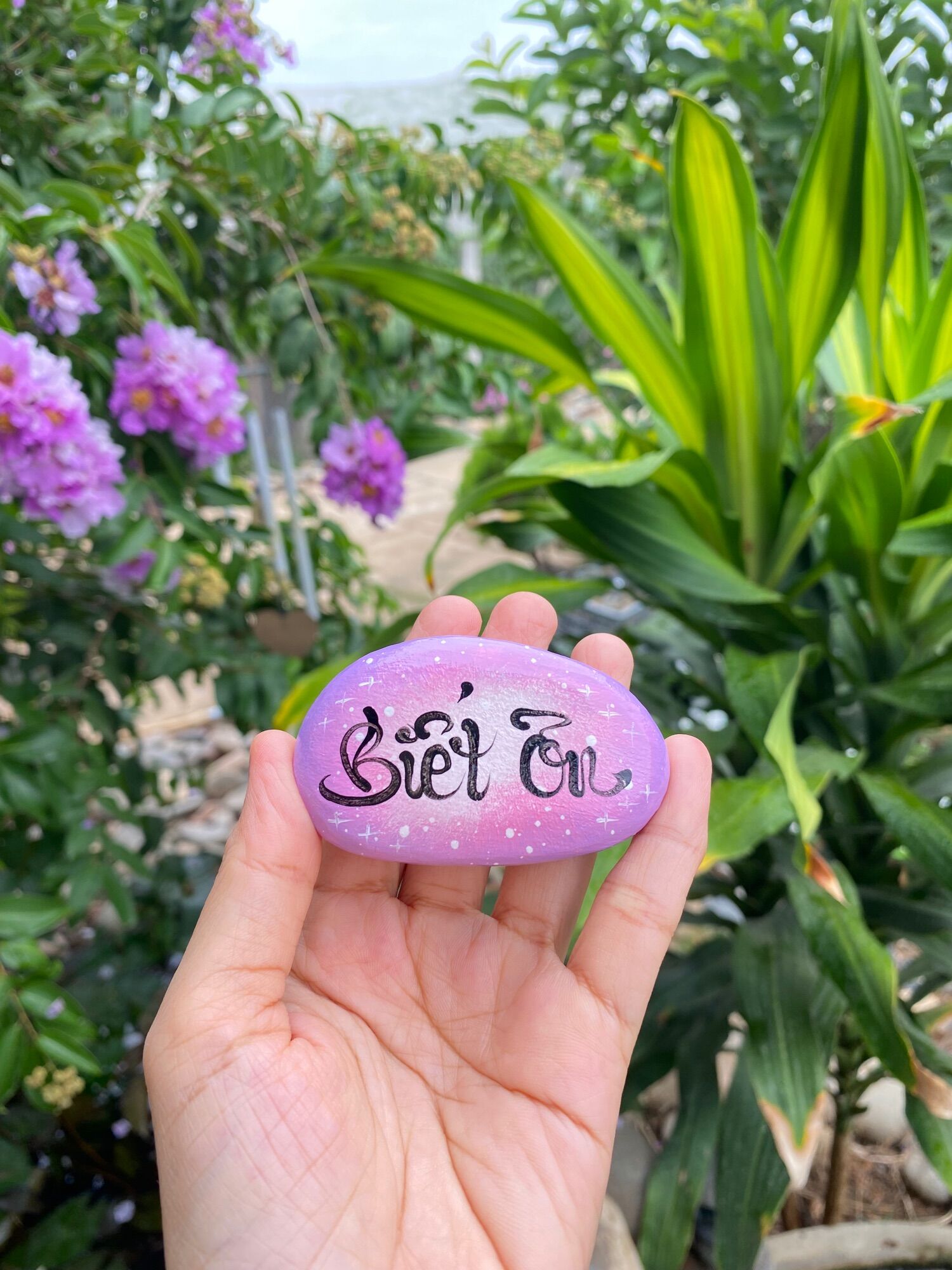 Hòn đá biết ơn 7 tông màu