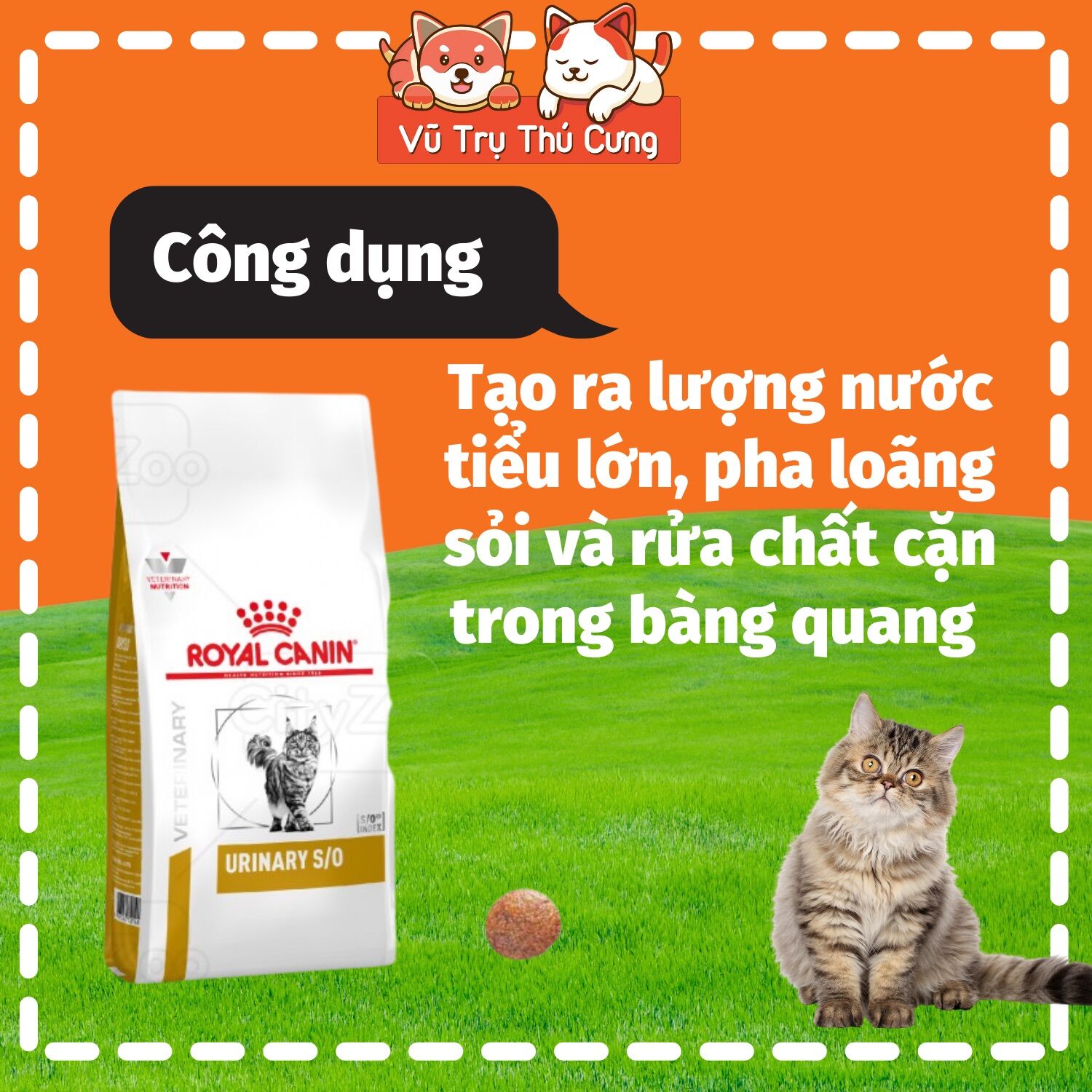 Hạt cho Mèo bị sỏi thận Royal Canin Urinary S/O