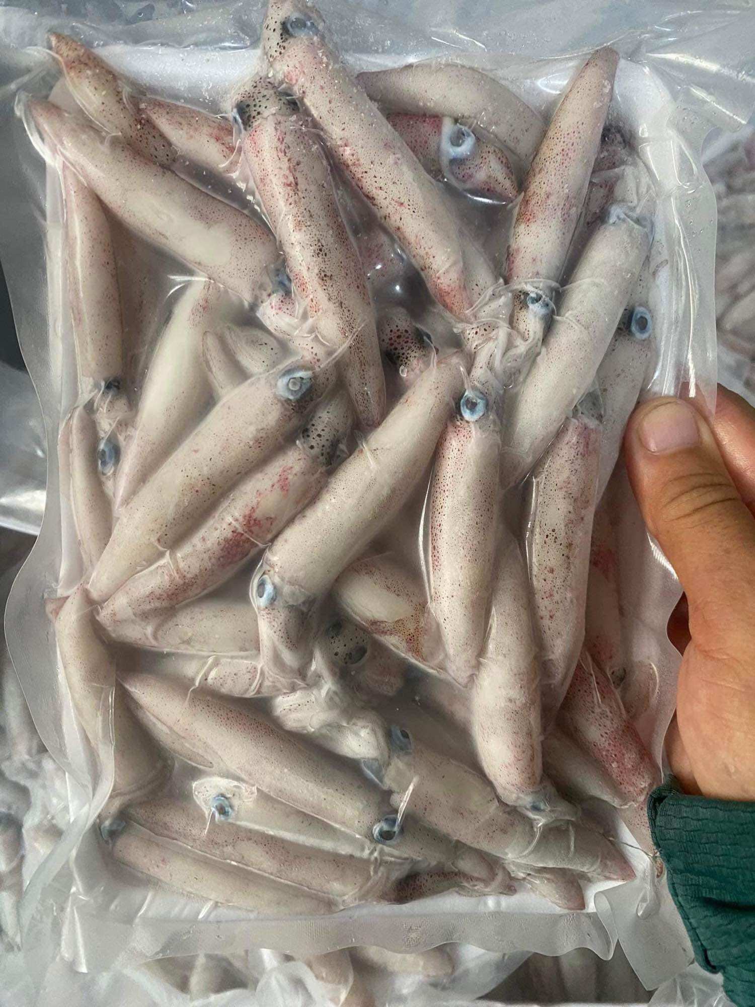 Mực sữa nháy Phan Thiết tươi ngon 500g