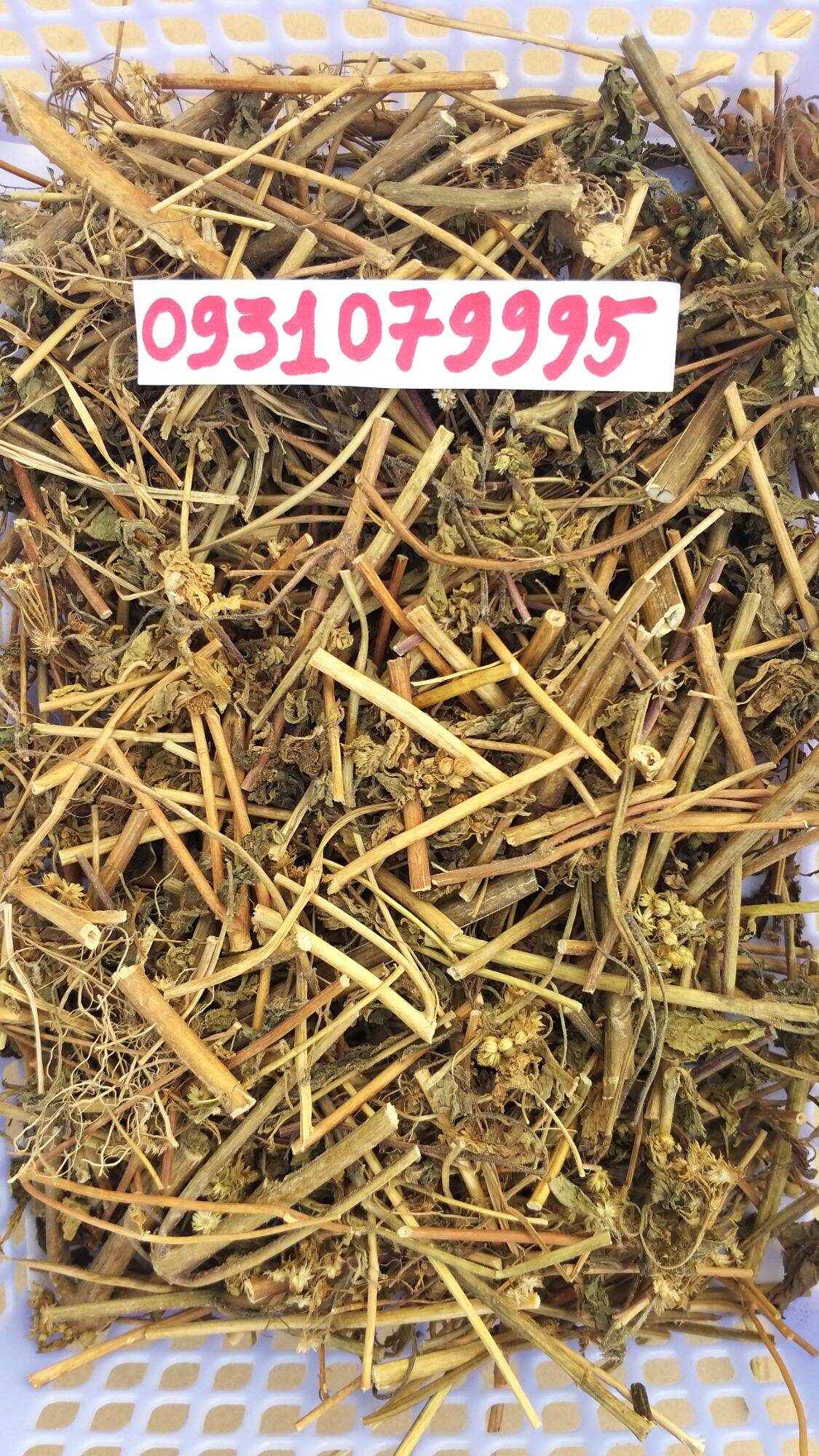 Cây cỏ cức heo - cỏ hôi phơi khô 1kg