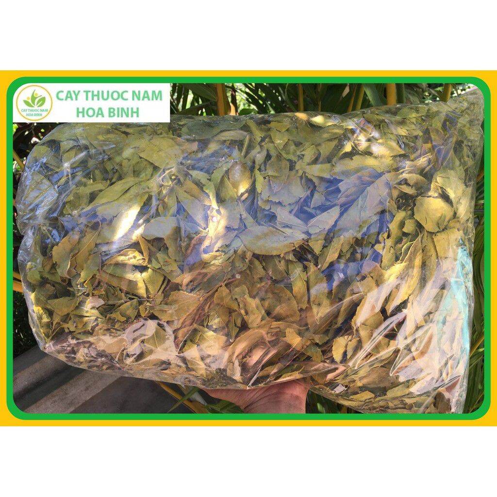 1kg chè dung tri viêm dạ dày