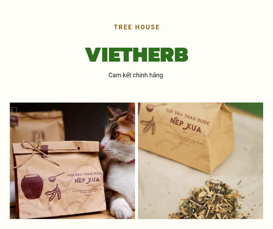 Gội đầu thảo dược nếp xưa _ vietherb