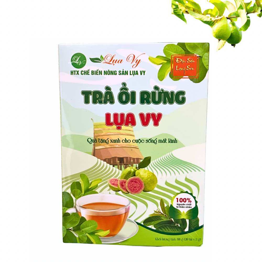 Trà Ổi Lụa Vy- Trà giảm cân an toàn hiệu quả