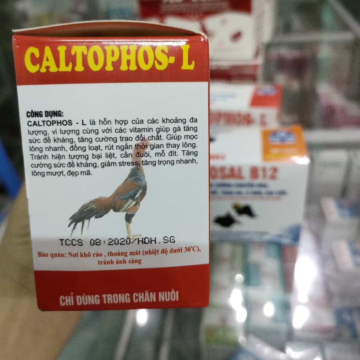 Increase Muscle, Strengthen Fighting Cocks 10ml Caltophos