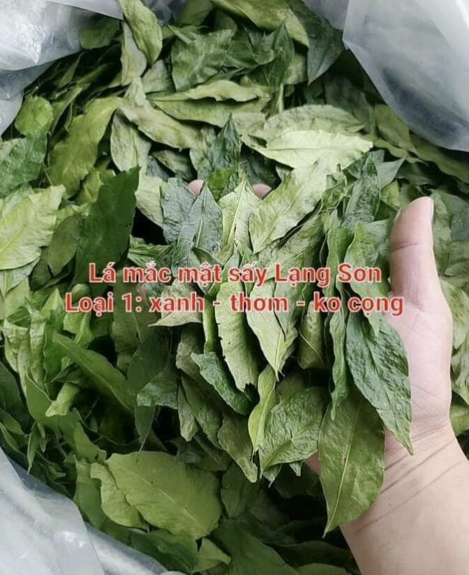 LÁ MẮC MẬT SẤY LẠNH