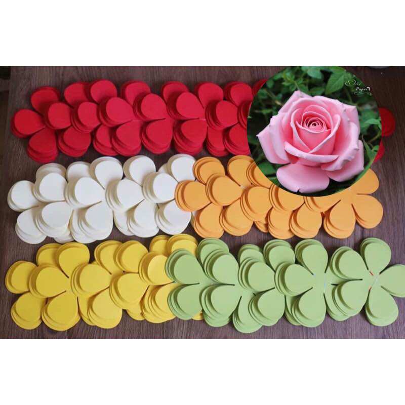 Set hoa cắt sẵn làm 10 bông hoa hồng