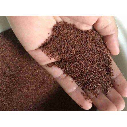 1 kg Hat ngũ hoa(đình lịch) hạt bé đắp mặt sạch mụn sáng da.