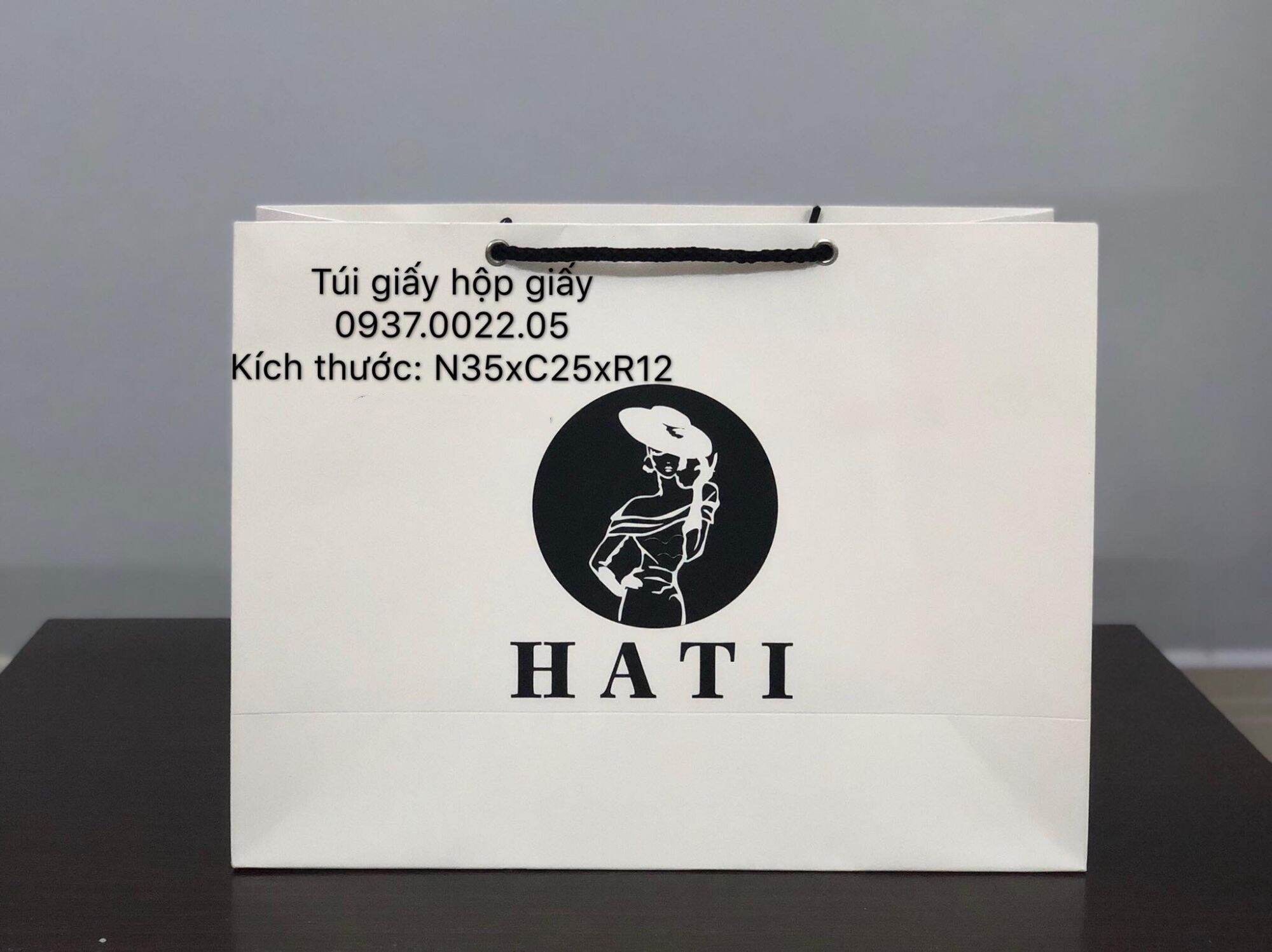 Combo 10 túi thời trang , giấy ivory 250 , cán màng mờ , in sẵn .