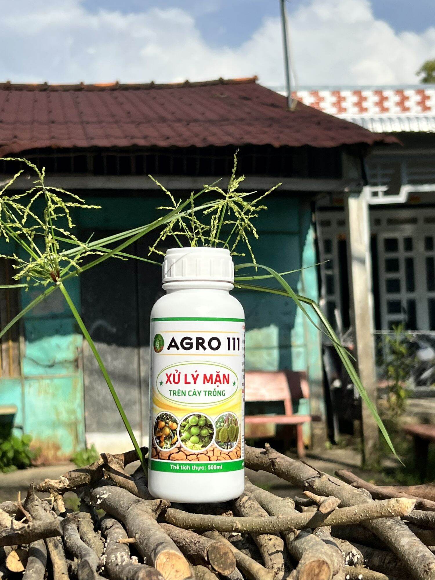 AGRO 111 - VI SINH XỬ LÝ MẶN TRÊN ĐẤT