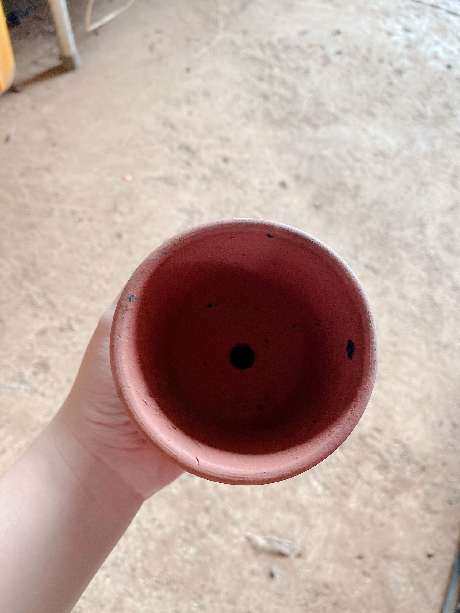 Chậu đất nung 10cm