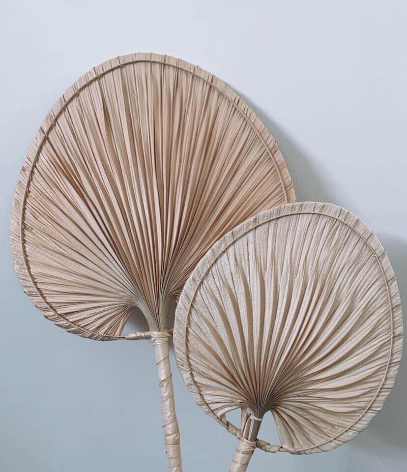 Combo 2 chiếc quạt lá cọ trang trí decor