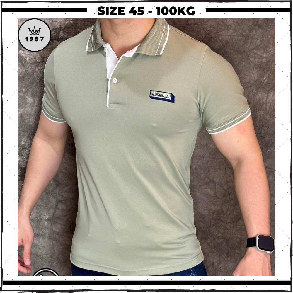 Áo thun nam có cổ tay ngắn, áo polo nam big size cotton thun lạnh form rộng kiểu basic mầu đen trắng