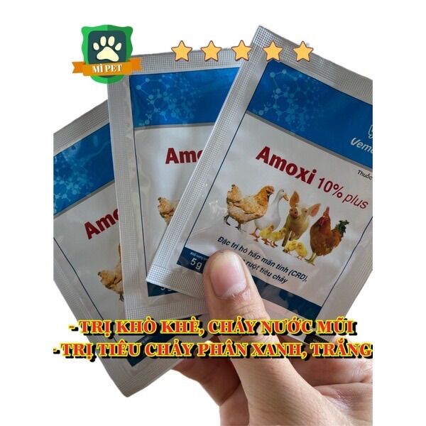 Amoxi 10% plus phòng hen khẹt, viêm ruột gà đá