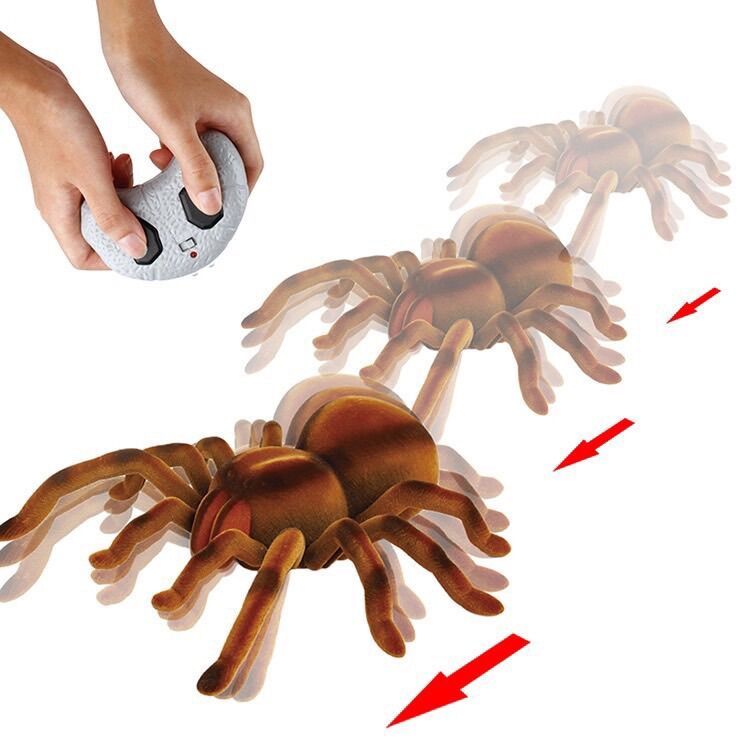 Đồ chơi con Nhện lông lá điều khiển từ xa