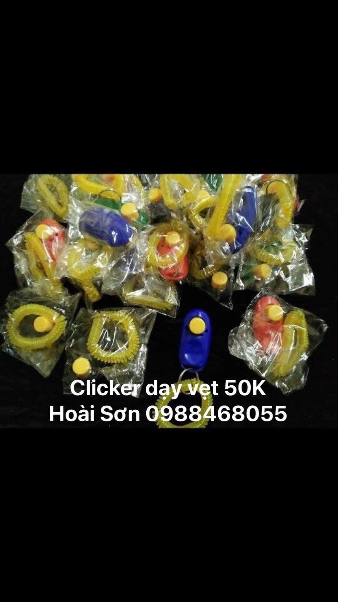 Clicker huấn luyện vẹt làm trò chơi