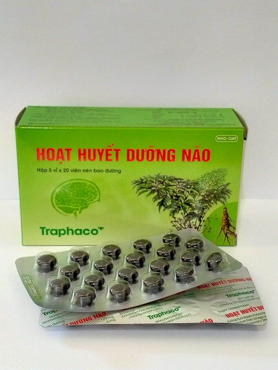 Hoạt Huyết Dưỡng Não Hộp 100 Viên