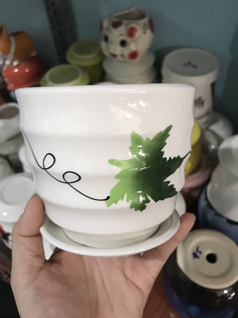 Chậu sứ trồng cây kèm dĩa lót