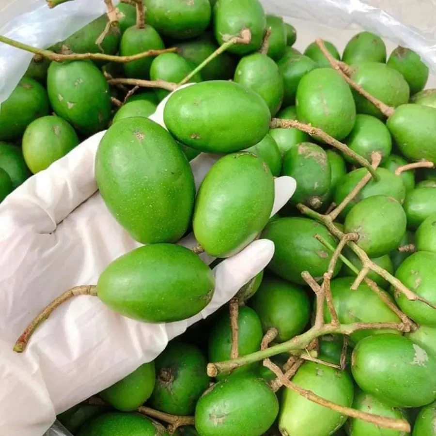 1kg cóc thái loại ngon trái nhỏ , tặng kèm muối ớt