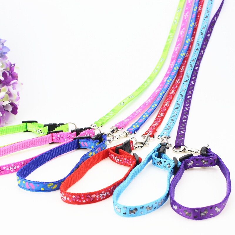 Sét Dây dắt kèm vòng cổ cho chó mèo (Set 1 dây dắt + 1 vòng cổ)