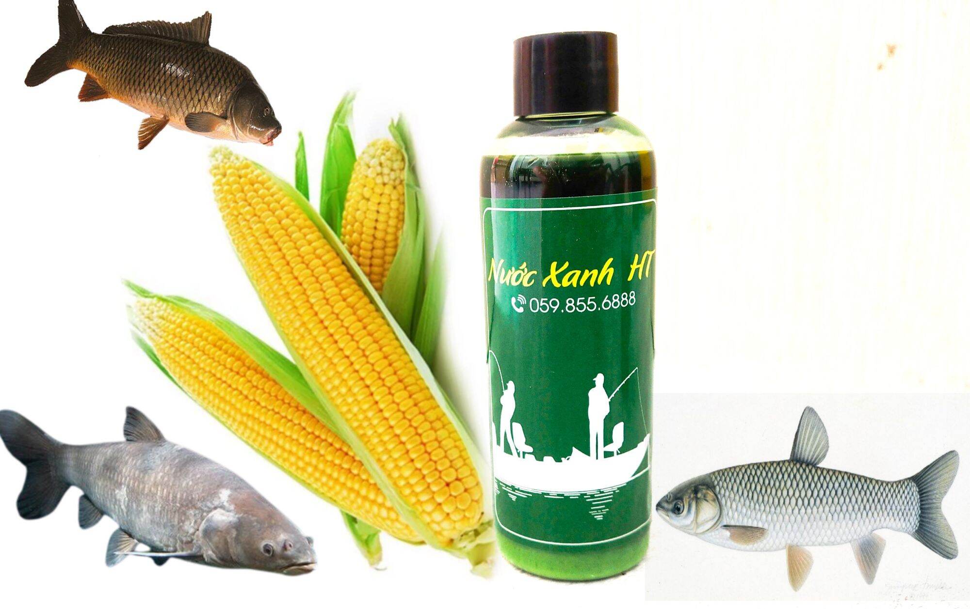 Mồi câu cá trắm đen, trắm cỏ, chép.Xước Xanh ngâm ốc, ngâm ngô.